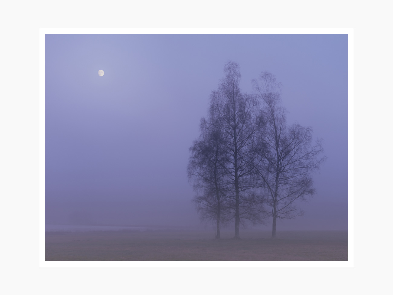 Max Schiefele Alle Bilder  DSF4491